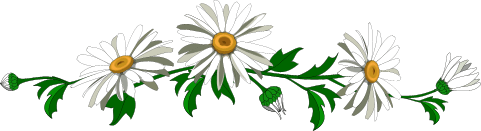 76922687_R9 (481x131, 15Kb)