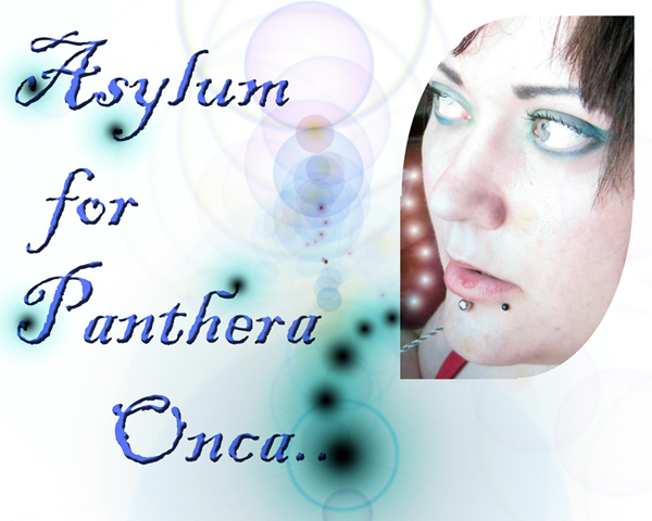 Asylum for Panthera Onca_Torry deJa (600x480, 190Kb)
