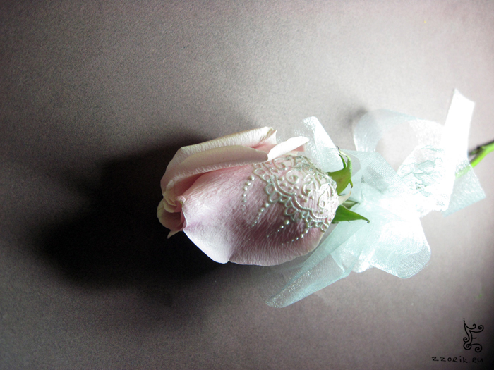 rose1_white (700x525, 300Kb)