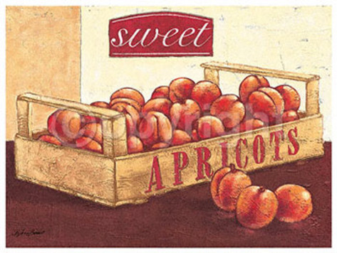 bjorn-baar-sweet-apricots (473x356, 66Kb)