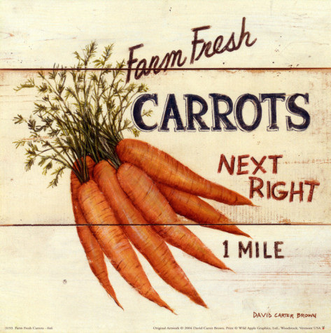 david-carter-brown-farm-fresh-carrots (473x476, 91Kb)