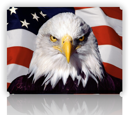3996605_usa1 (428x380, 312Kb)