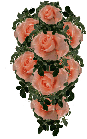 Wonderfool  rose (305x485, 84Kb)