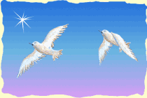 Oiseaux-1 (210x140, 10Kb)