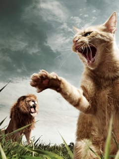 Cat_Vs_Lion (240x320, 34Kb)