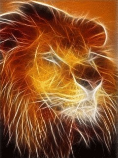 Lion1 (240x320, 40Kb)