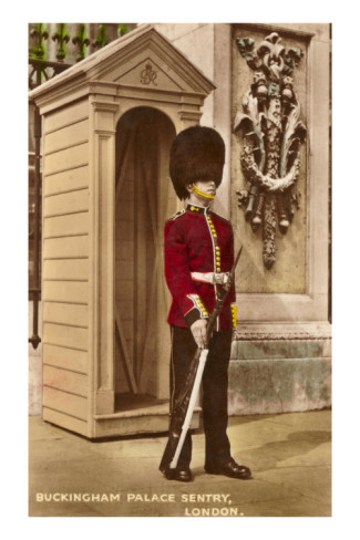 guard-at-buckingham-palace-london-england (325x488, 46Kb)
