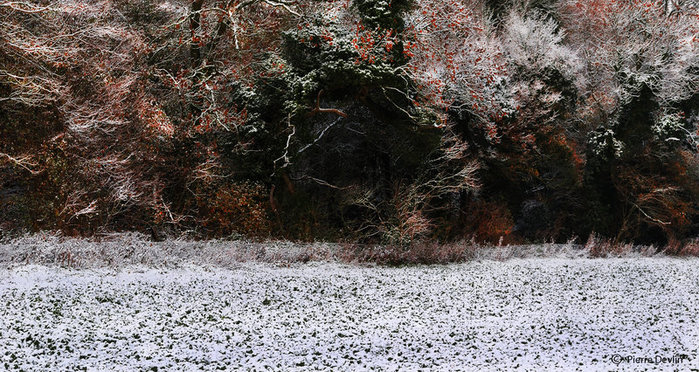 foto Pierre Devlin (9) (700x372, 140Kb)