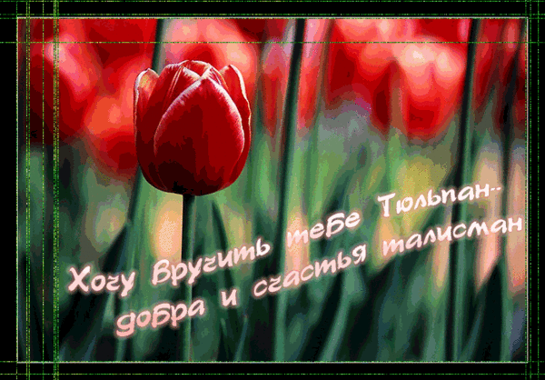    ! (600x418, 705Kb)