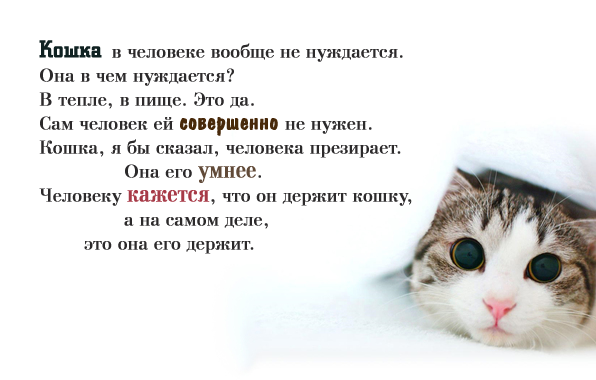 3621698_ (596x380, 117Kb)