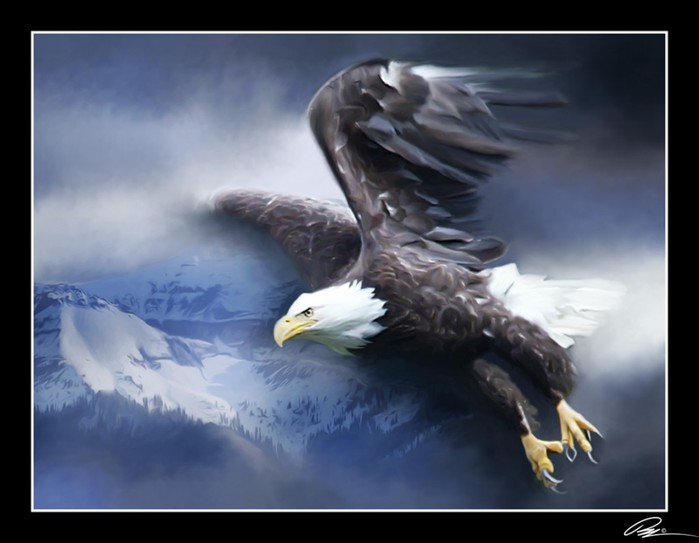 eagle_flight (700x543, 54Kb)