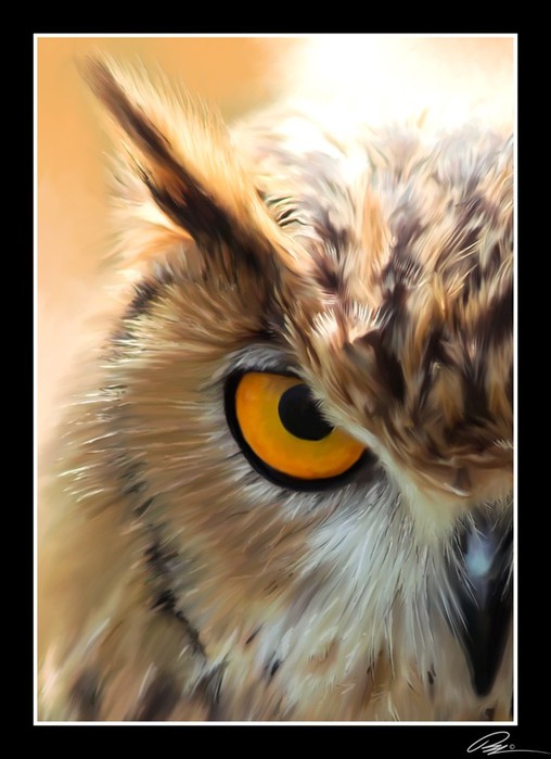 wise_owl (508x700, 69Kb)