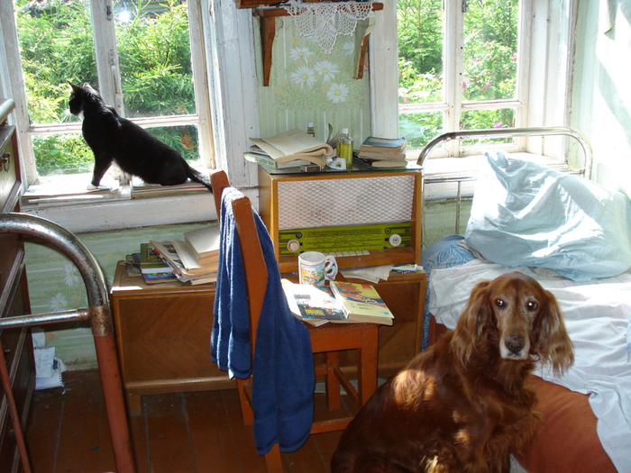 DSC01190 (700x525, 239Kb)