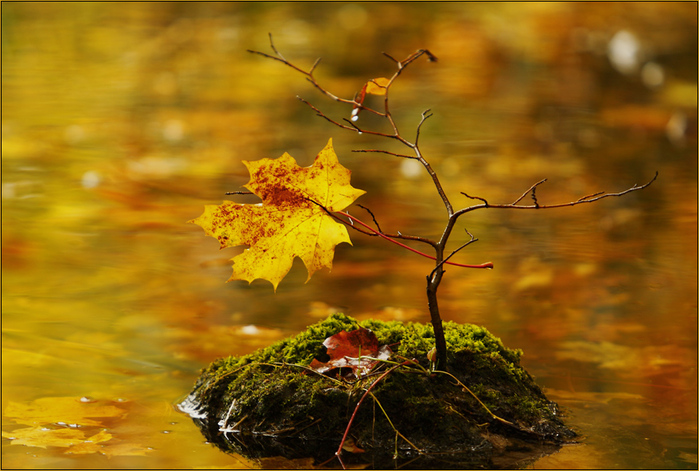 herbst-am-see (700x471, 203Kb)