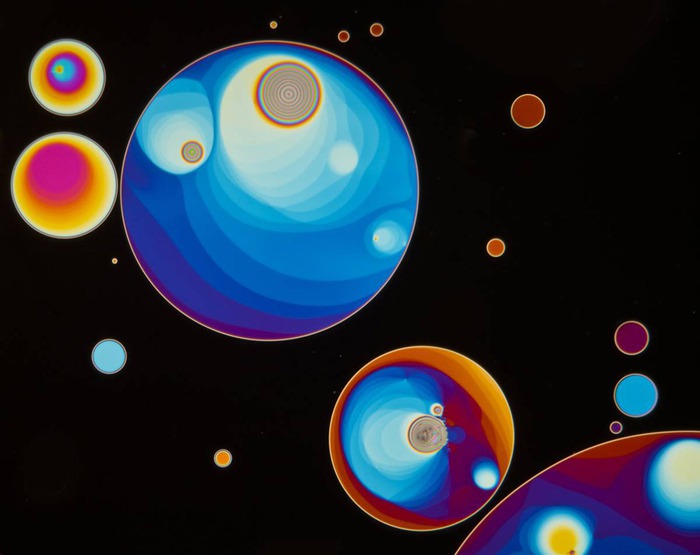 Nikon-Small-World16-18 (700x555, 55Kb)
