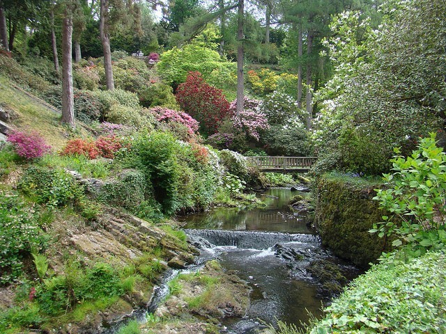 4059800_BodnantGarden11 (640x480, 165Kb)