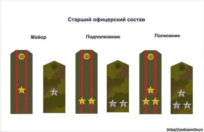 Погоны старшины российской армии нового образца