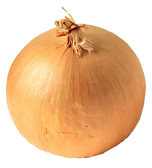 white onion copy (629x700, 510Kb)