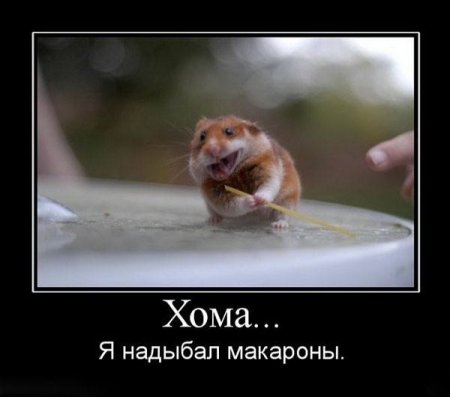 1274218598_8 (450x397, 21Kb)