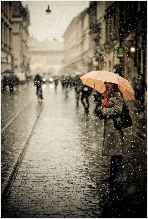 beautiful_rain_photos_27 (474x700, 77Kb)