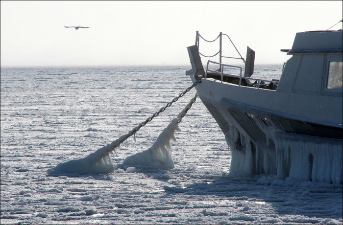 frozen_black_sea_ukraine (4) (700x460, 93Kb)