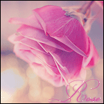 c673e8fc0f77 (150x150, 18Kb)