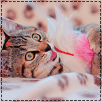 3f0370512cc1 (150x150, 30Kb)