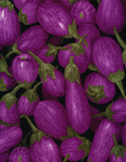  food-c6538-purple (500x644, 180Kb)