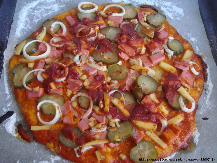 DSC03477 (700x525, 342Kb)