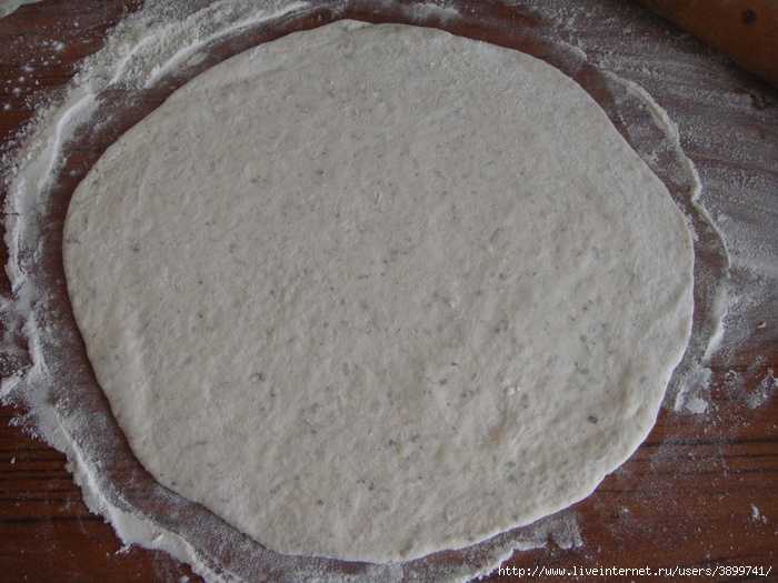 DSC03472 (700x525, 280Kb)