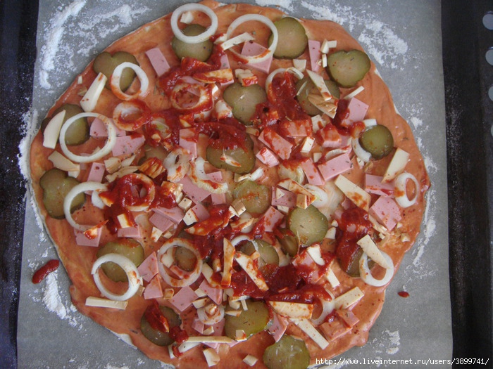 DSC03474 (700x525, 300Kb)