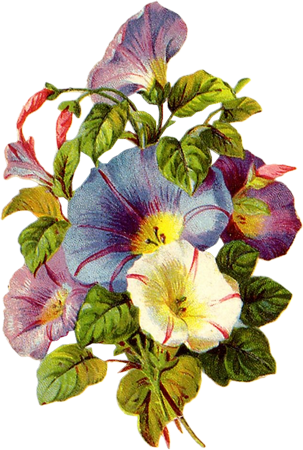 cajoline_vintageflowers4_10 (303x450, 291Kb)