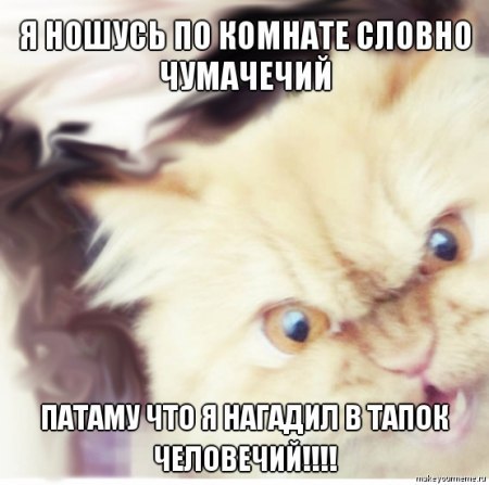 4761151_x_44311ce2 (450x447, 39Kb)