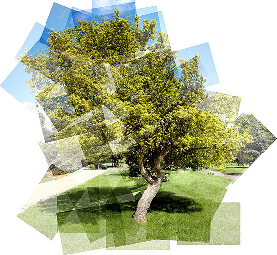 panography3 (560x515, 116Kb)