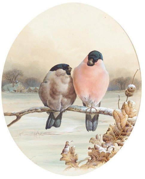 BULLFINCHES ON A WINTER'S DAY (485x600, 56Kb)