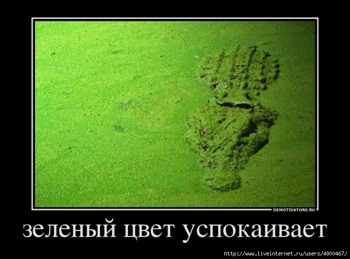 /4800467_1328453992_demotivators_16_1_ (700x519, 149Kb)