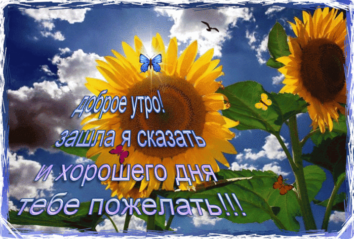    (700x472, 464Kb)