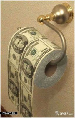 1230726543_toilet_paper16 (255x400, 24Kb)