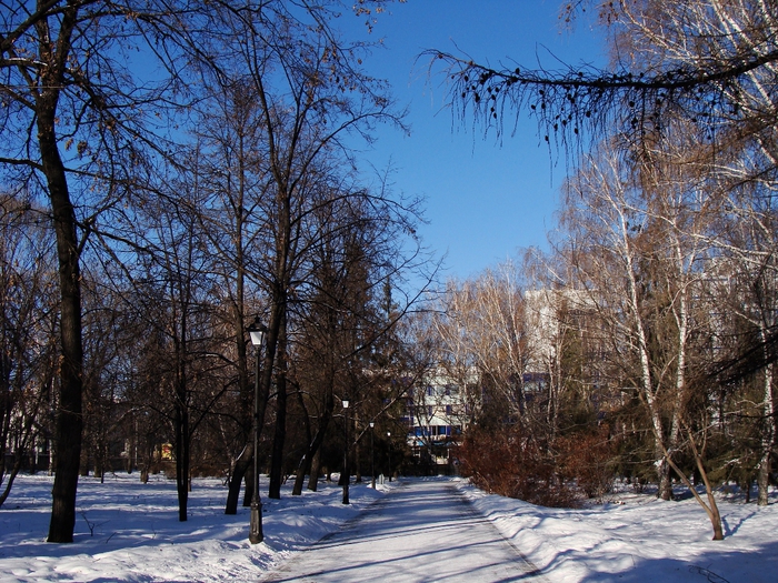 DSC02447 (700x525, 395Kb)