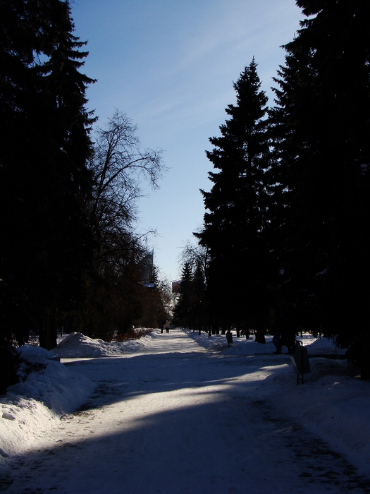 DSC02448 (525x700, 237Kb)