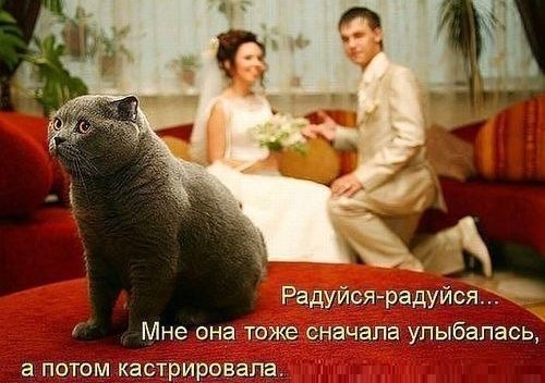 4761151_x_7993d6a0 (500x352, 48Kb)