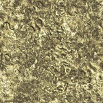  Petrified Seabed (512x512, 195Kb)