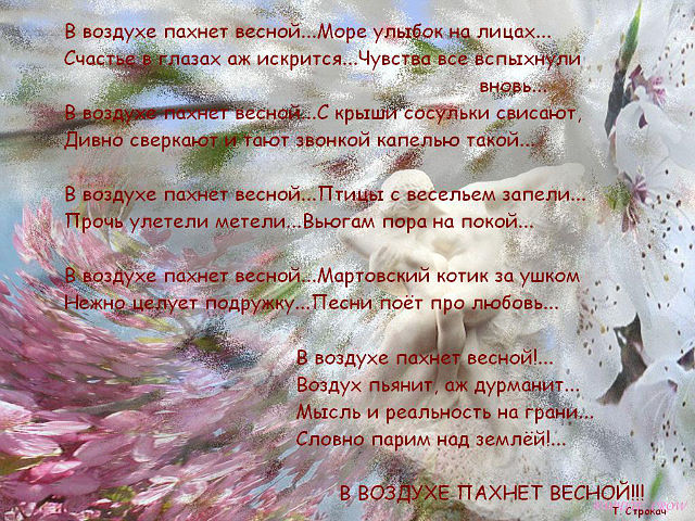 3869930_getImage_1_ (640x480, 136Kb)