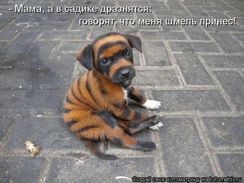 securedownload (2) (480x360, 45Kb)