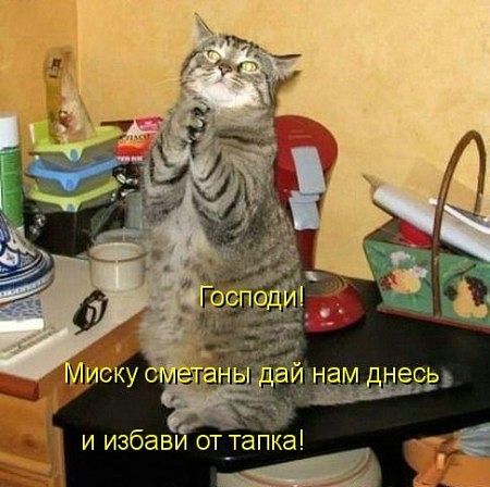 securedownload (8) (450x448, 43Kb)