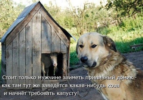 securedownload (15) (480x335, 46Kb)