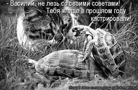 securedownload (17) (480x313, 57Kb)
