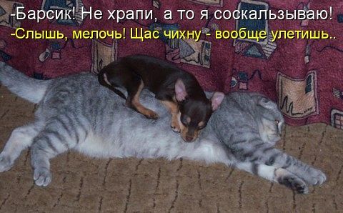 securedownload (23) (480x298, 39Kb)