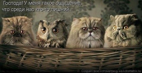 securedownload (480x248, 29Kb)