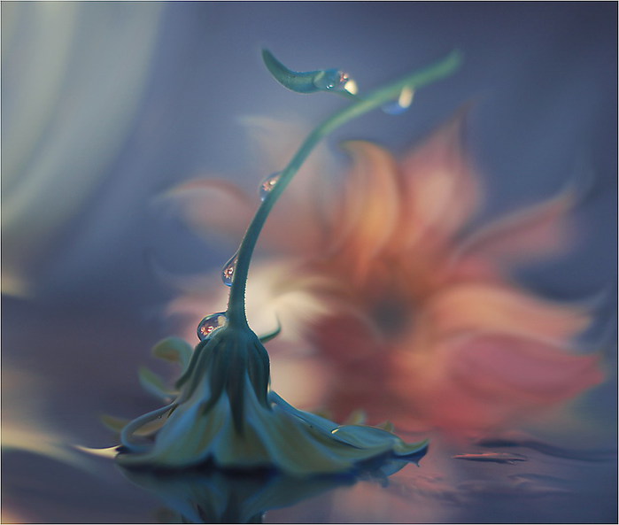 01 (700x593, 48Kb)